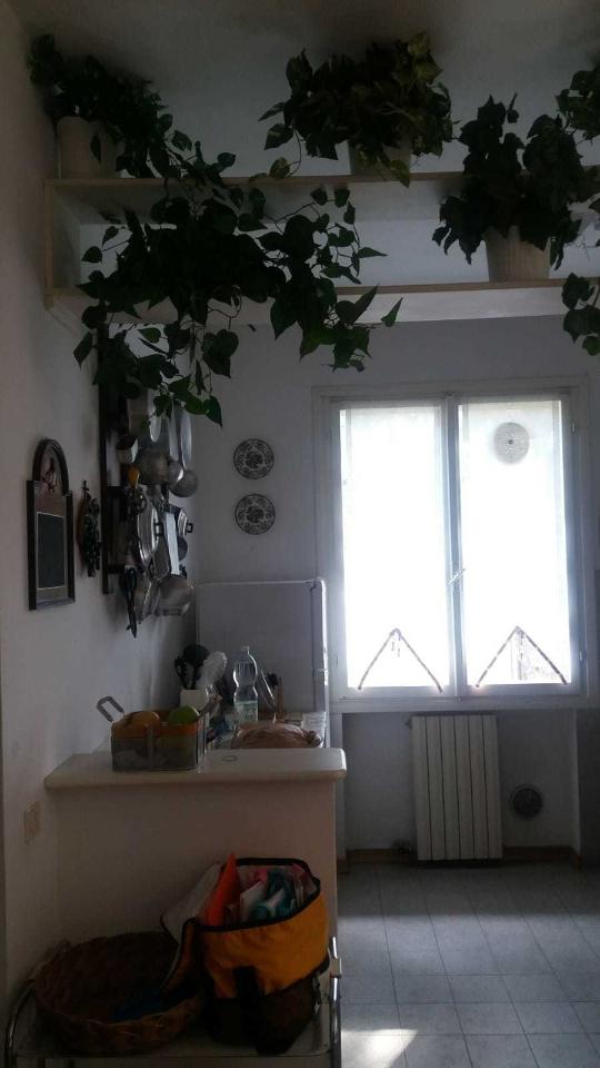 appartamento in affitto a Massa in zona Marina dei Ronchi