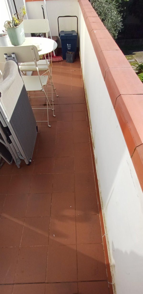 casa indipendente in affitto a Massa in zona Centro Storico