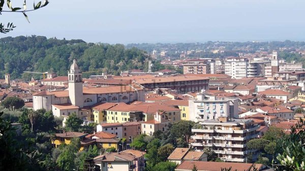 ufficio in affitto a Massa