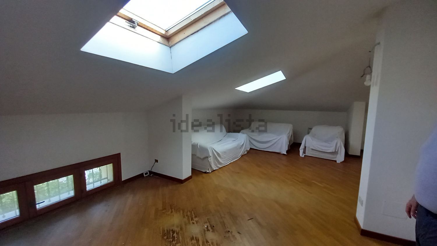 appartamento in affitto a Massa