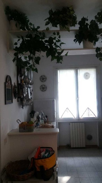 appartamento in affitto a Massa in zona Marina dei Ronchi