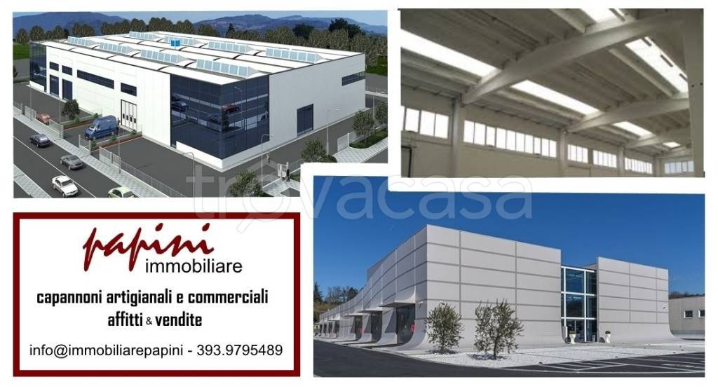 locale commerciale in affitto a Massa in zona Castagnola