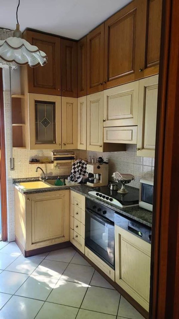 appartamento in affitto a Massa