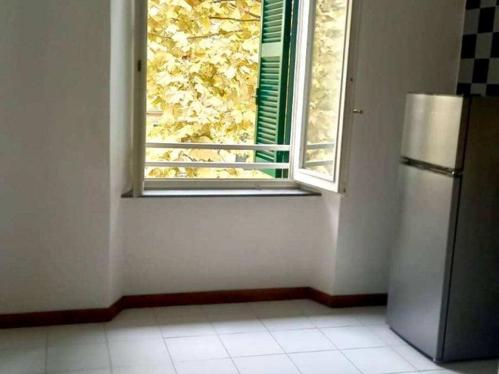 appartamento in affitto a Massa in zona Centro Storico