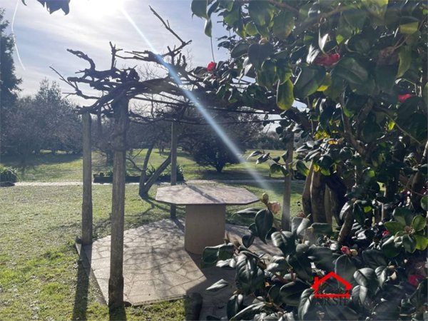 casa indipendente in affitto a Massa in zona Marina di Massa