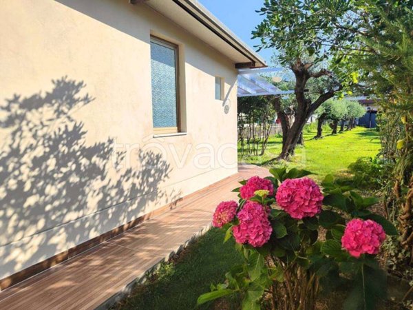 casa indipendente in affitto a Massa in zona Centro Storico