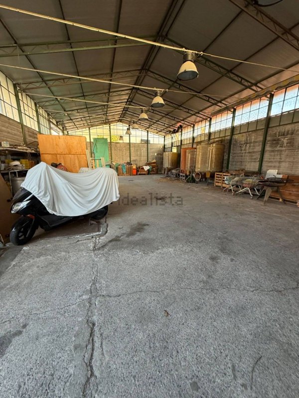 capannone in affitto a Massa