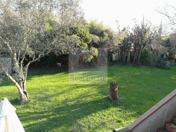 casa indipendente in affitto a Massa in zona Poveromo