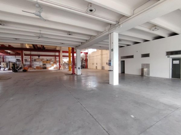 capannone in affitto a Massa