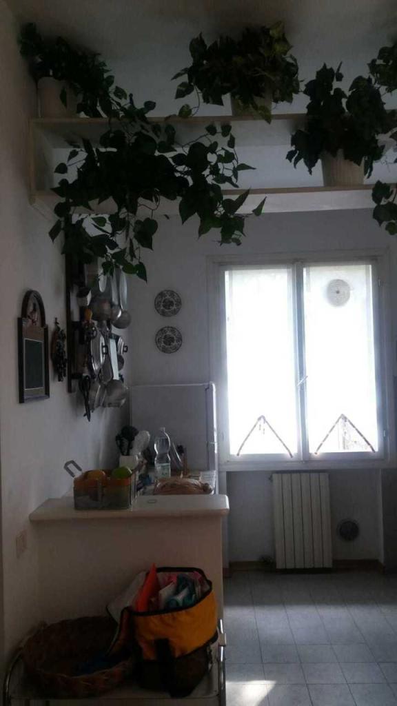 appartamento in affitto a Massa in zona Marina dei Ronchi