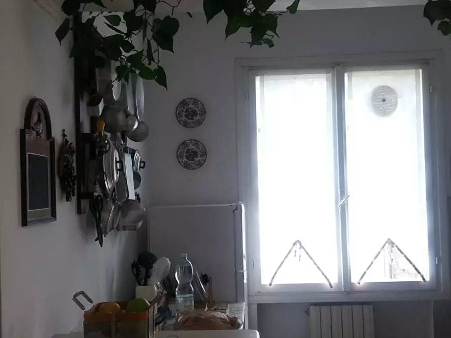 appartamento in affitto a Massa in zona Marina dei Ronchi