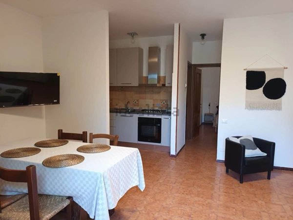 appartamento in affitto a Massa in zona Marina dei Ronchi