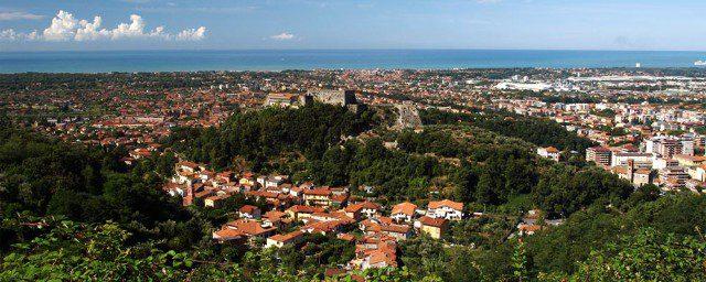 negozio in affitto a Massa