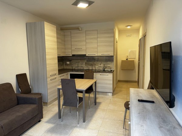 appartamento in affitto a Massa