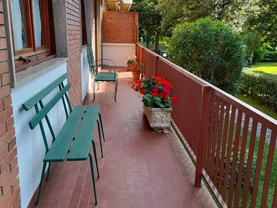 appartamento in affitto a Massa