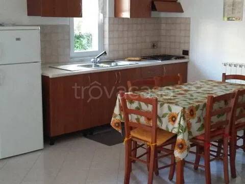 casa indipendente in affitto a Massa