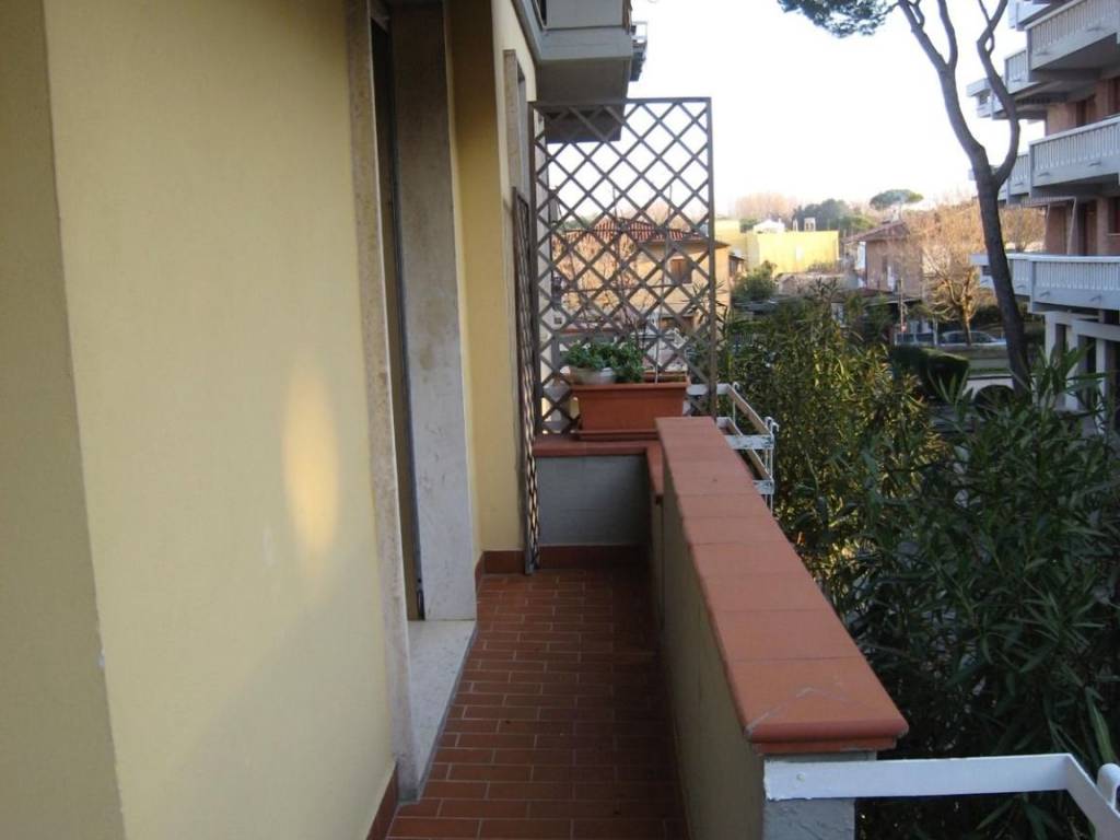 appartamento in affitto a Massa in zona Marina di Massa
