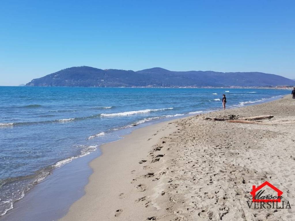 appartamento in affitto a Massa in zona Marina di Massa
