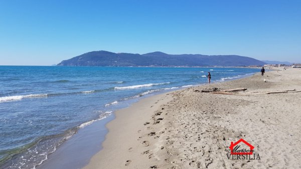 appartamento in affitto a Massa in zona Marina di Massa