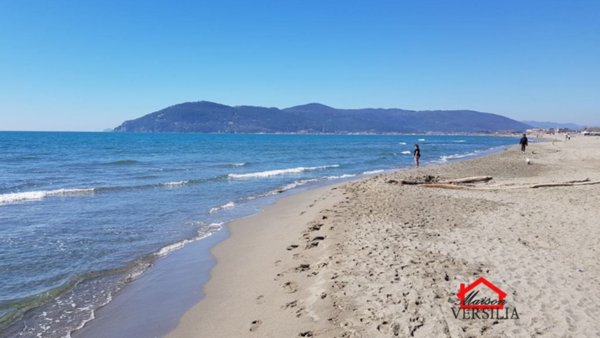 appartamento in affitto a Massa in zona Marina di Massa