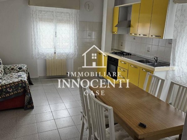 appartamento in affitto a Massa in zona Mirteto
