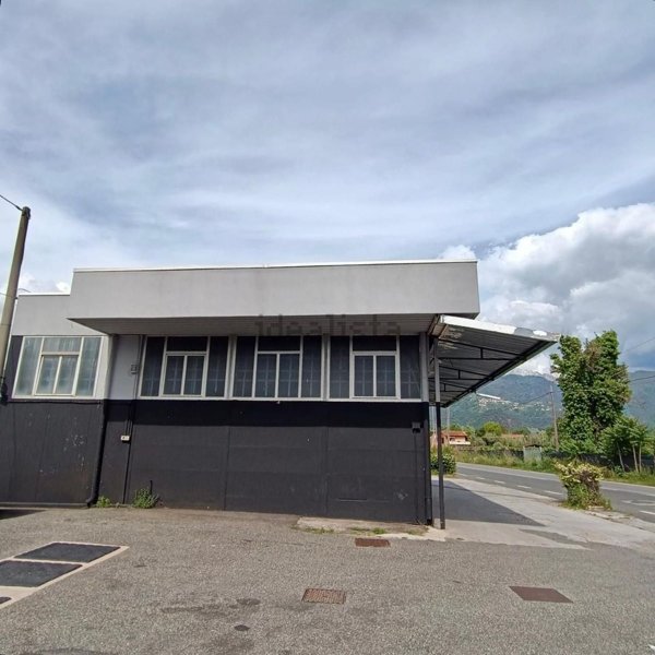 negozio in affitto a Massa in zona Marina dei Ronchi
