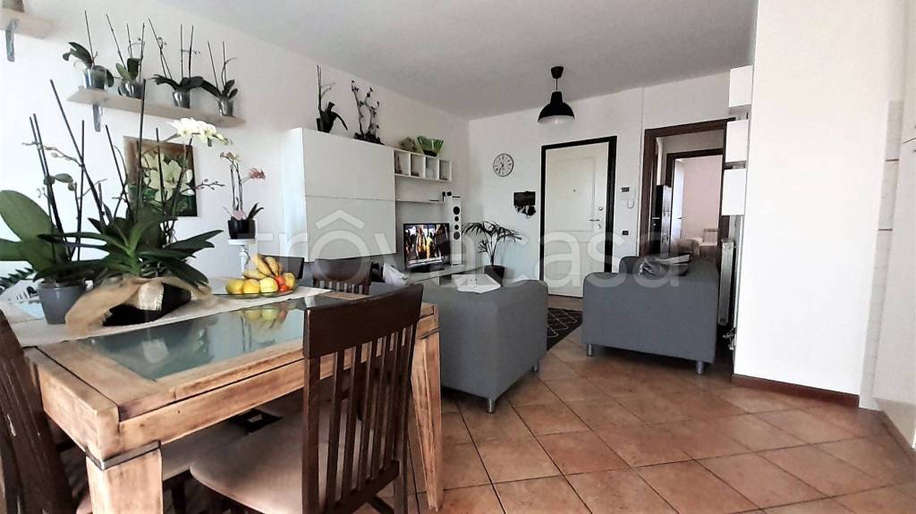 appartamento in affitto a Massa in zona Marina di Massa
