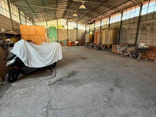 locale commerciale in affitto a Massa
