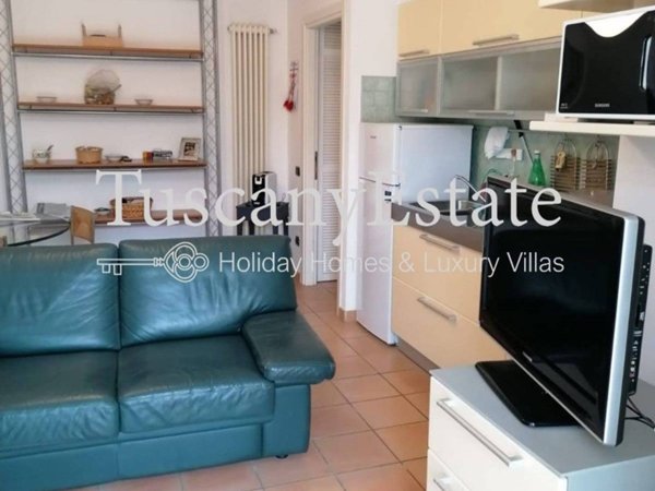 appartamento in affitto a Massa