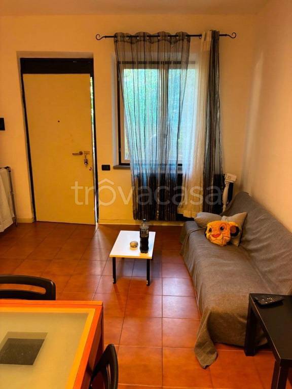appartamento in affitto a Massa in zona Centro Storico