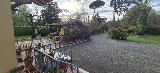 villa in affitto a Montignoso in zona Cinquale