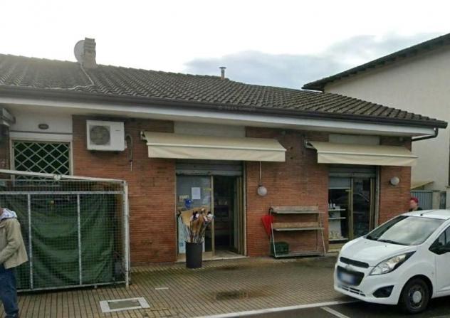 negozio in affitto a Montignoso in zona Cinquale