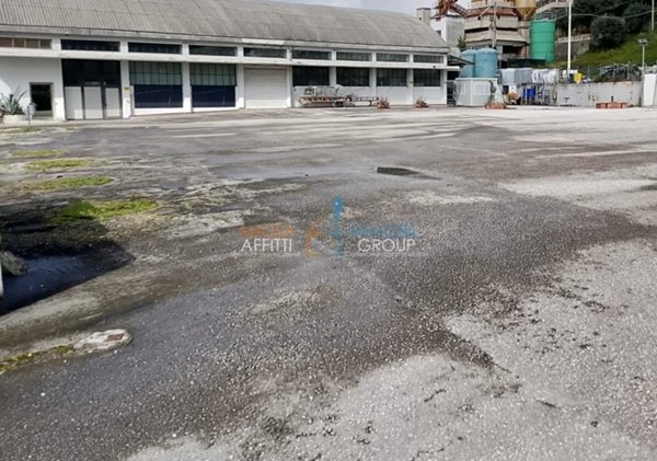 capannone in affitto a Montignoso in zona Palatina