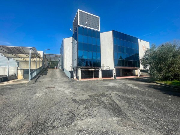capannone in affitto ad Altopascio