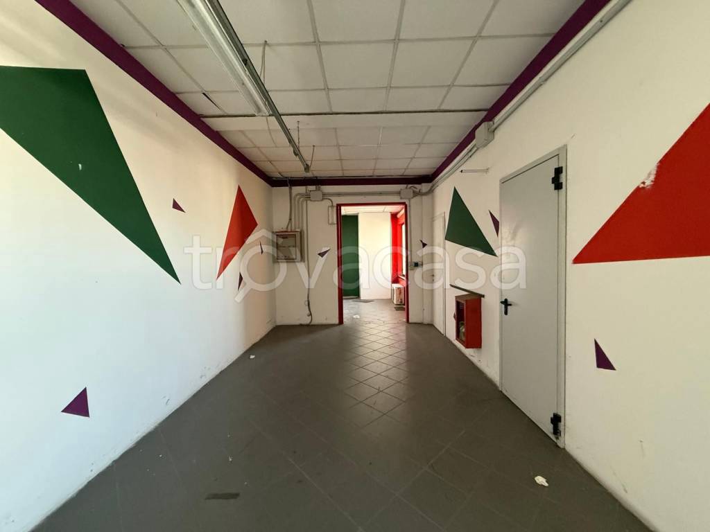 trivano in affitto ad Altopascio