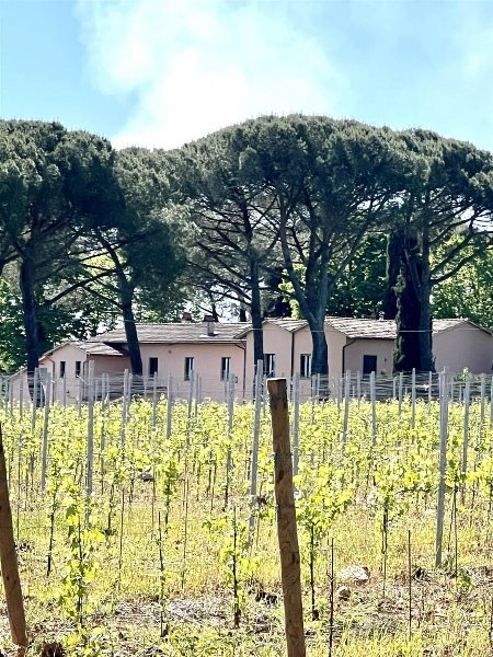 appartamento in affitto ad Altopascio