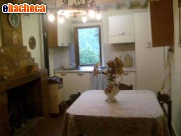 appartamento in affitto a Borgo a Mozzano in zona Gioviano