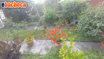 casa indipendente in affitto a Camaiore in zona Lido di Camaiore