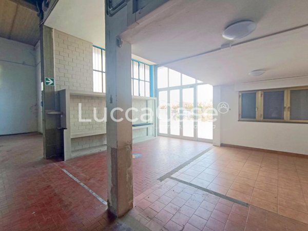 appartamento in affitto a Camaiore