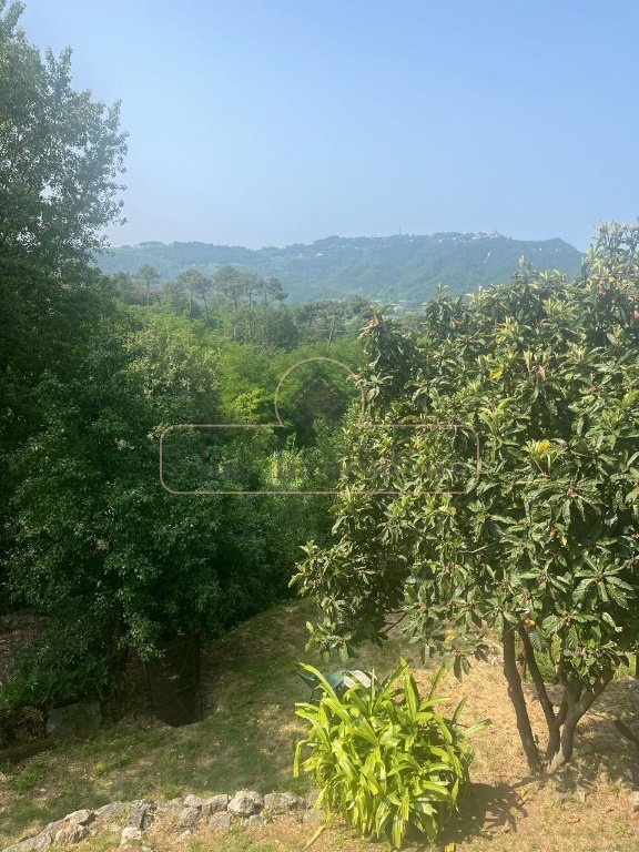 appartamento in affitto a Camaiore