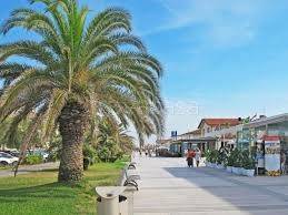 negozio in affitto a Camaiore in zona Lido di Camaiore