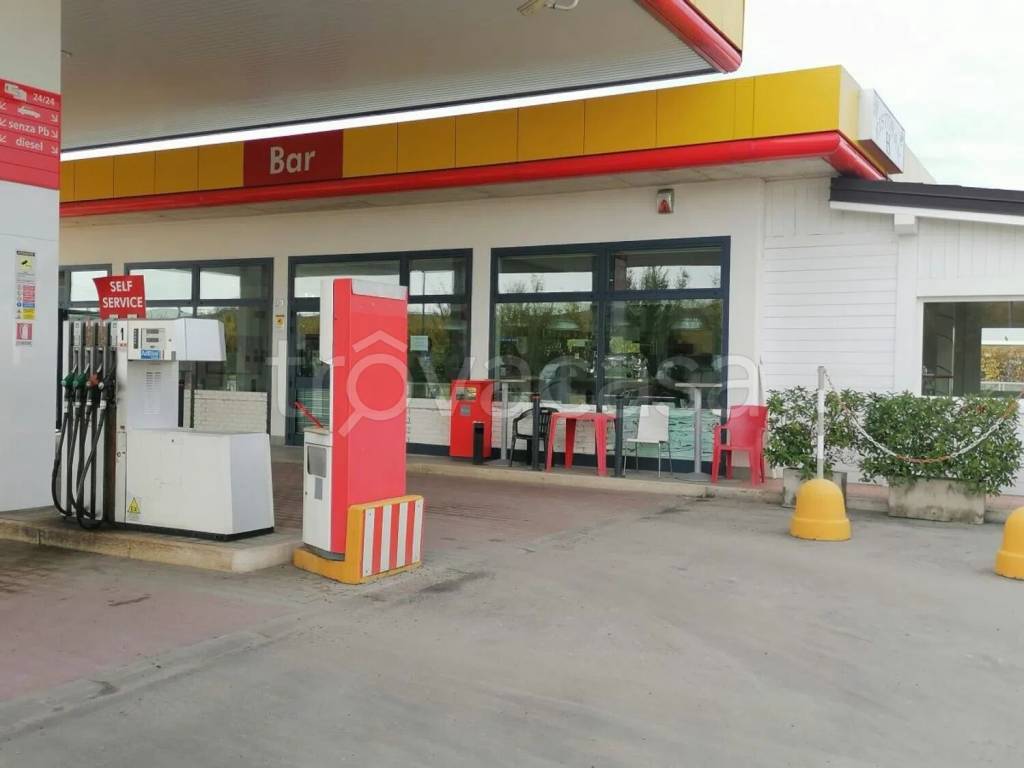 appartamento in affitto a Camaiore in zona Lido di Camaiore