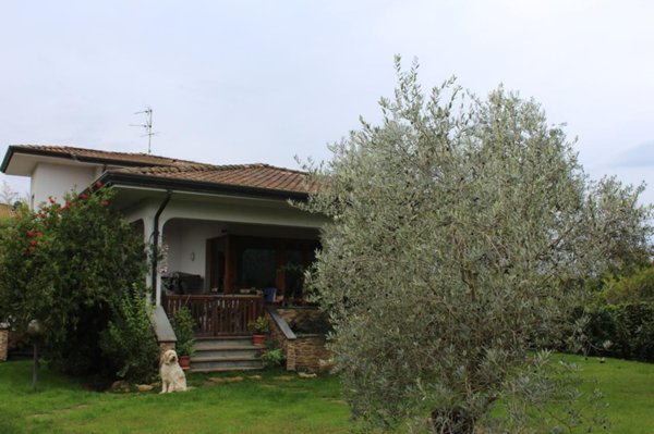 casa indipendente in affitto a Camaiore