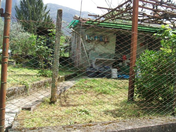casa indipendente in affitto a Camaiore