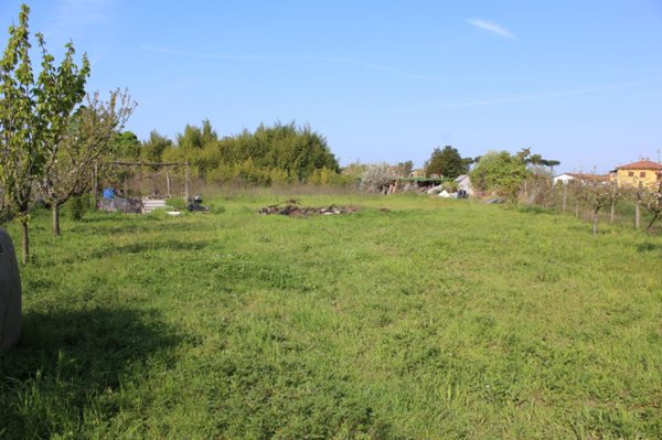 terreno agricolo in affitto a Camaiore