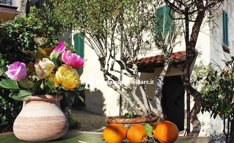 casa indipendente in affitto a Camaiore
