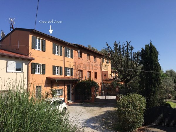 casale in affitto a Camaiore