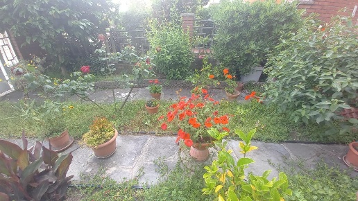 casa indipendente in affitto a Camaiore in zona Lido di Camaiore