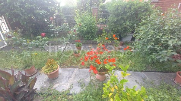 casa indipendente in affitto a Camaiore in zona Lido di Camaiore