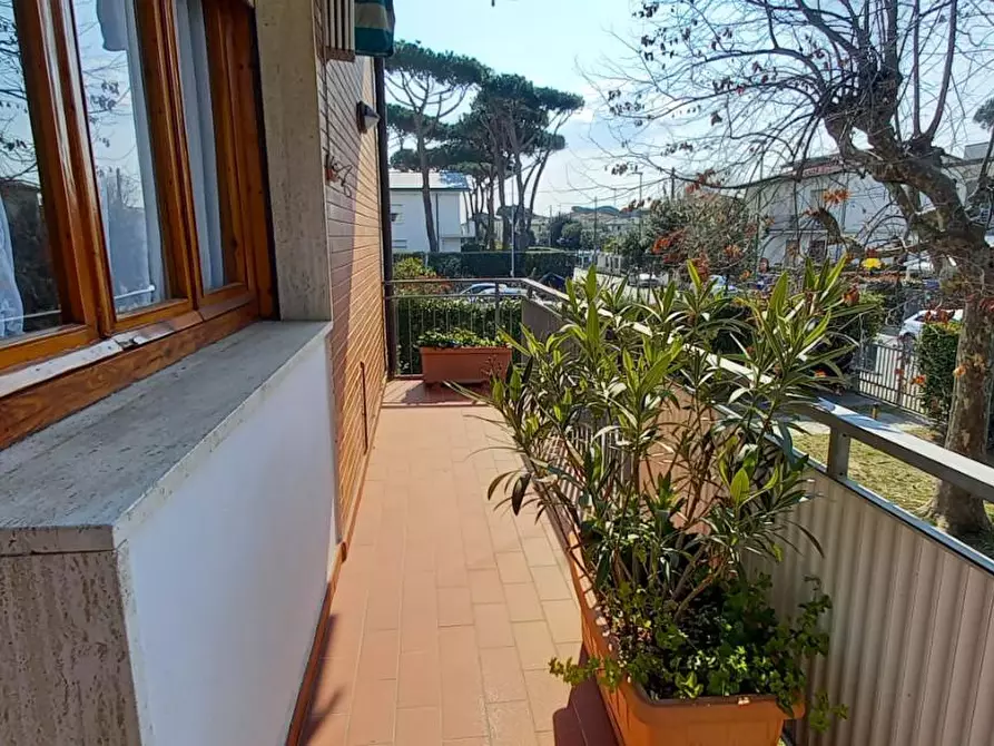 appartamento in affitto a Camaiore